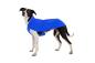 Preview: Ruffwear Vert Jacket Blue Pool Gr. M Preview: Ruffwear Vert Jacket Blue Pool Gr. M
